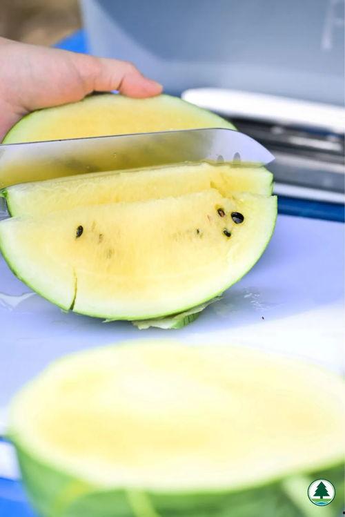 香港网红吃瓜,幕后故事与热门话题盘点 第1张 香港网红吃瓜,幕后故事与热门话题盘点 第1张